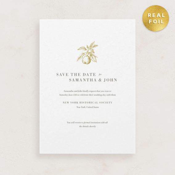 Manarola Collection Save The Date