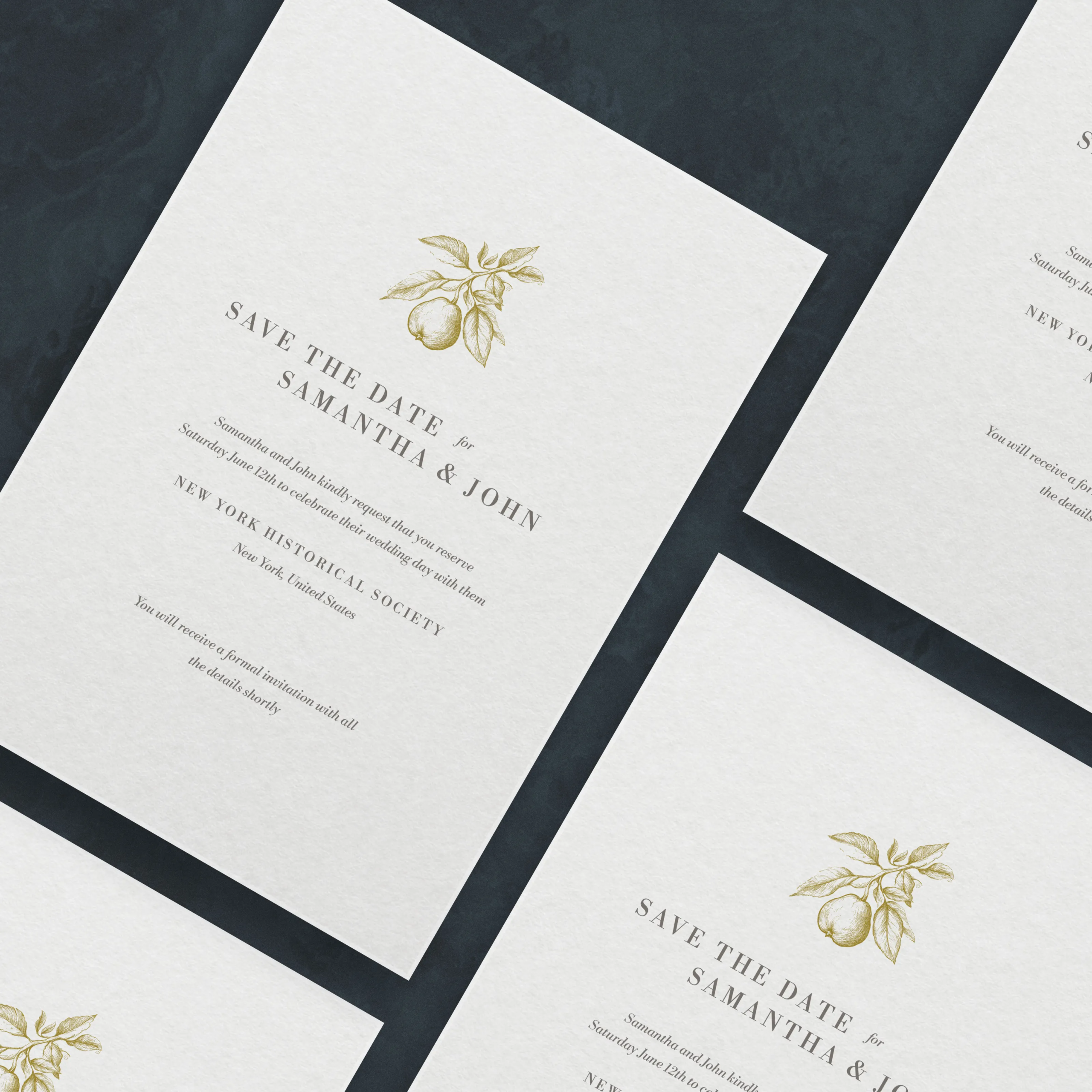 Manarola Collection Save The Date - Image 3